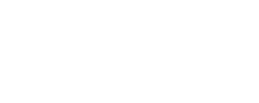 aerovideo-logo-new
